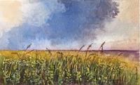 Grasses by Ralph Fontenot